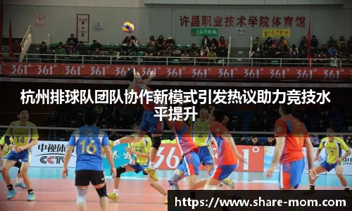 杭州排球队团队协作新模式引发热议助力竞技水平提升